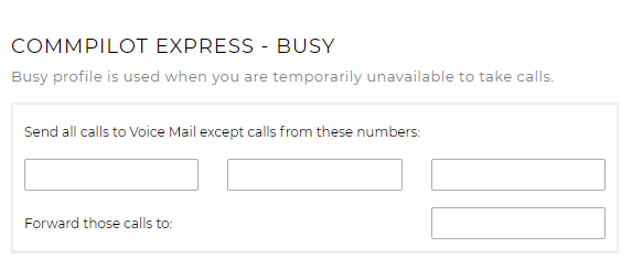 Call settings Busy tab